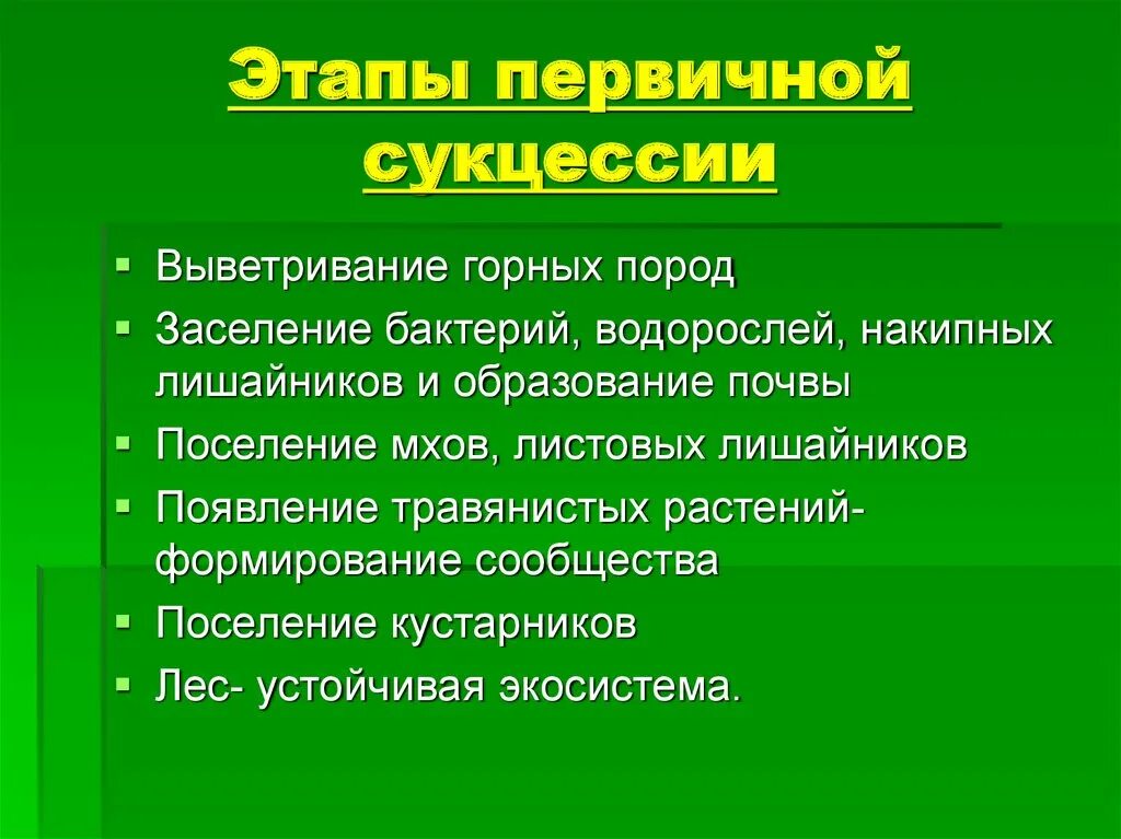 Этапы первичной сукцессии. Последовательность при первичной сукцессии. Схема формирования первичной сукцессии. Стадии развития первичной сукцессии.