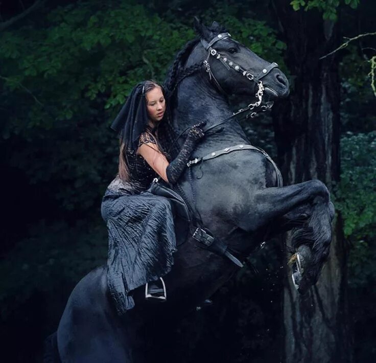 Брюнетка скачет. Девушка на коне. Девушка с лошадью. Фризская лошадь и девушка.