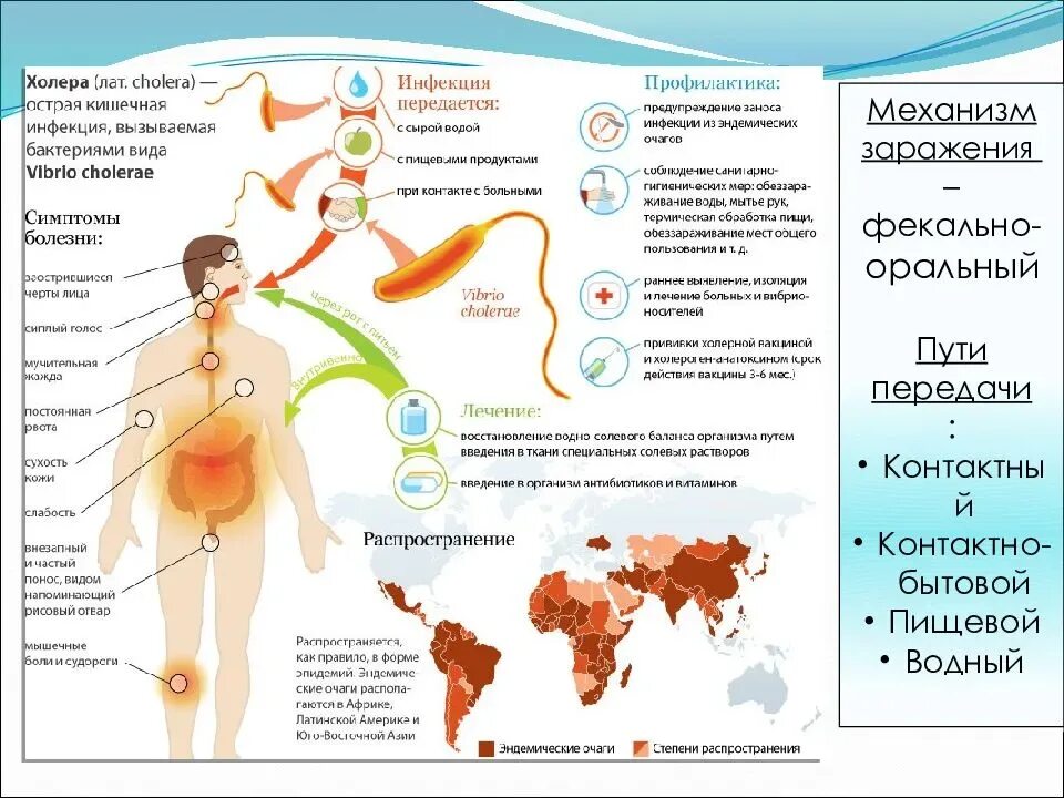 Инфекционные болезни пути заражения. Холера причины симптомы профилактика. Симптомы заражения сальмонеллезом. Признаки заражения человека инфекционной болезнью. Признаки заражения человека инфекционной болезнью.