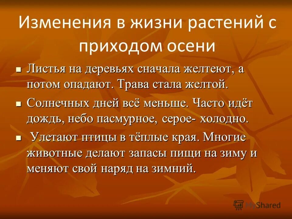 Какие изменения в жизни растений происходят осенью