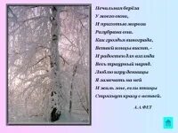 Анализ стихотворения береза фет