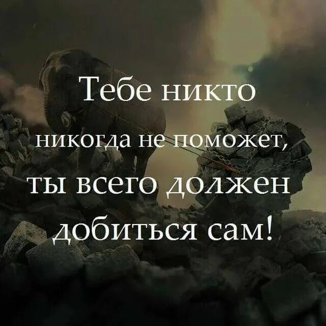 Всего добиваюсь сама в жизни. Тебе никто никогда не поможет. Никто тебе не поможет цитаты. Никогда никому не помогай цитаты. Никто тебе не поможет кроме тебя самого.