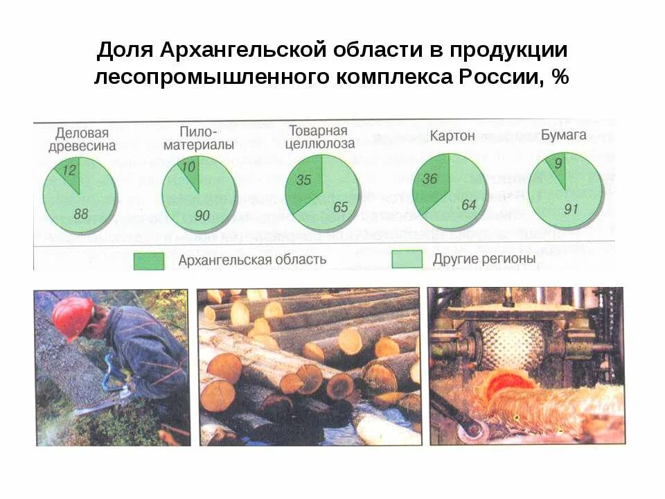 Снегование лесоматериалов. Лесная промышленность европейского севера. Архангельск центр лесной промышленности. Лесопиление осуществляется в каких городах. Архангельск центр лесной промышленности.