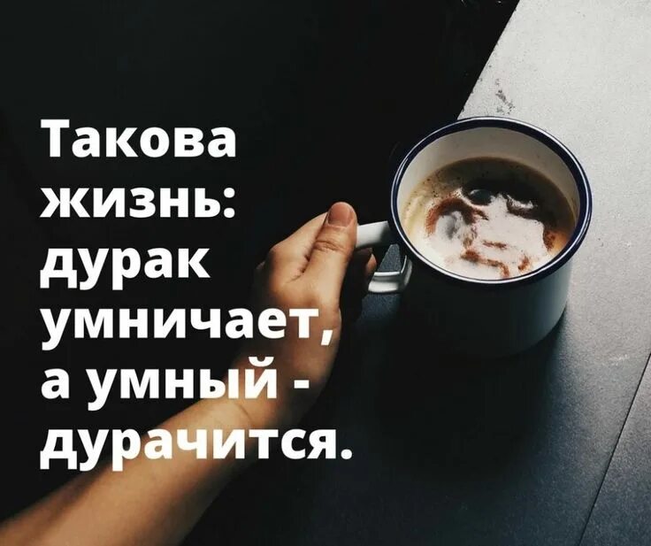 Афоризмы про умных и дураков. Умный умный да дурак. Умный умный да дурак. Умный учится на ошибках. Дурак думает что он умен.