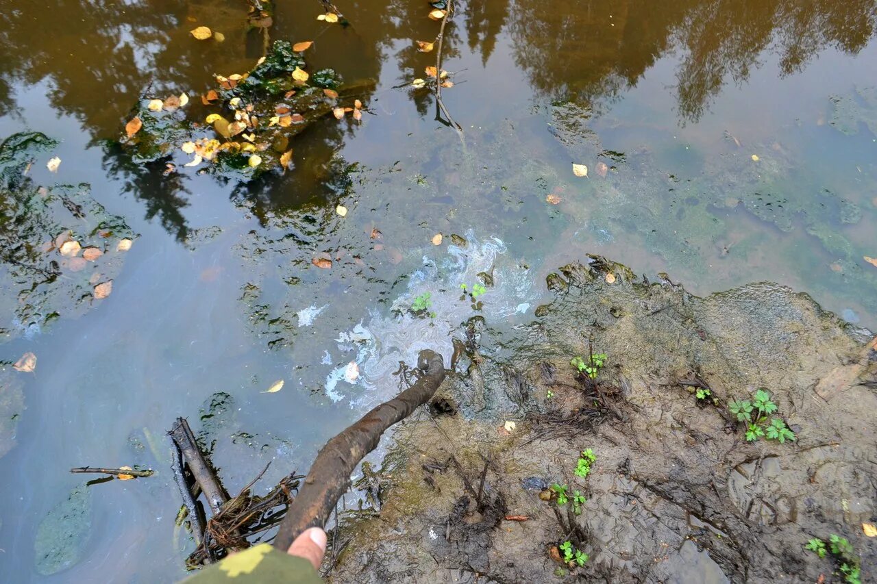 Ил в озерах. Донные отложения. Донные отложения в водоемах. Ил в воде. Заиление водоемов.