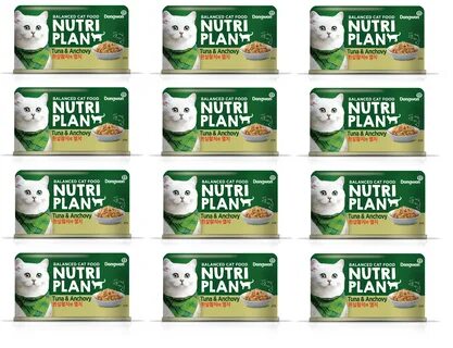 Nutri plan