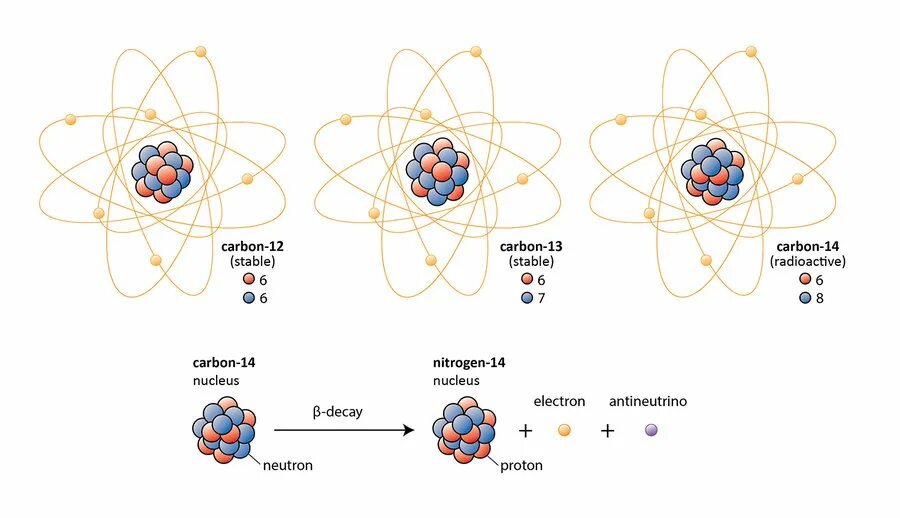 Carbon изотоп. Атомы углерода изотопы. Модель атома углерода. Carbon isotopes. Изотопы азот углерод