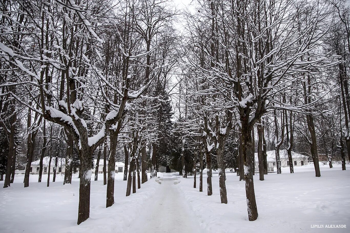 Солнечногорск поселок мцыри