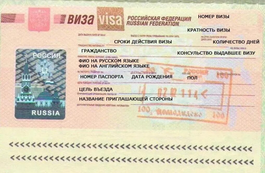 Visa российская. Российская виза. Виза в Россию. Виза в Россию для иностранца. Виза РФ для иностранцев.