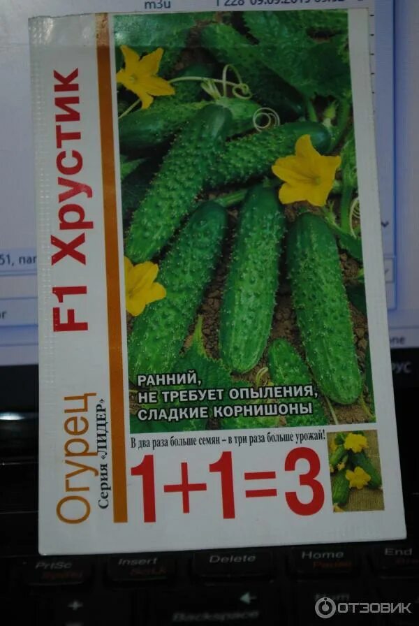 Огурцы сорт чудо хрустик. Огурец чудо хрустик ф1. Семена огурца чудо хрустик. Огурец чудо хрустик f1 10шт ц/п аэлита. Гавриш огурец хрустик f1.