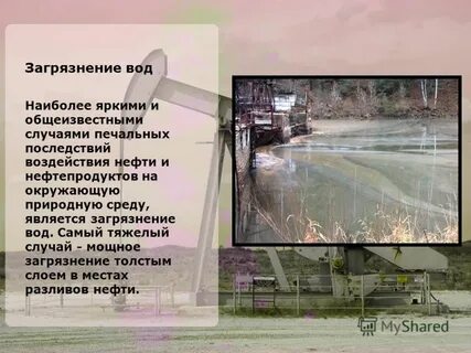 Влияние нефти на окружающую среду