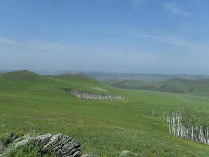 Горно степные виды
