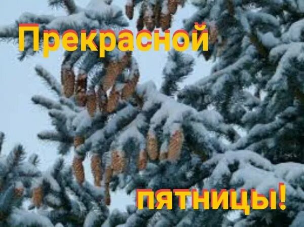 Доброе утро зимней пятницы. С зимней пятницей. с зимней пятницей картинки. с добрым зимним утром пятницы. с первой зимней пятницей.