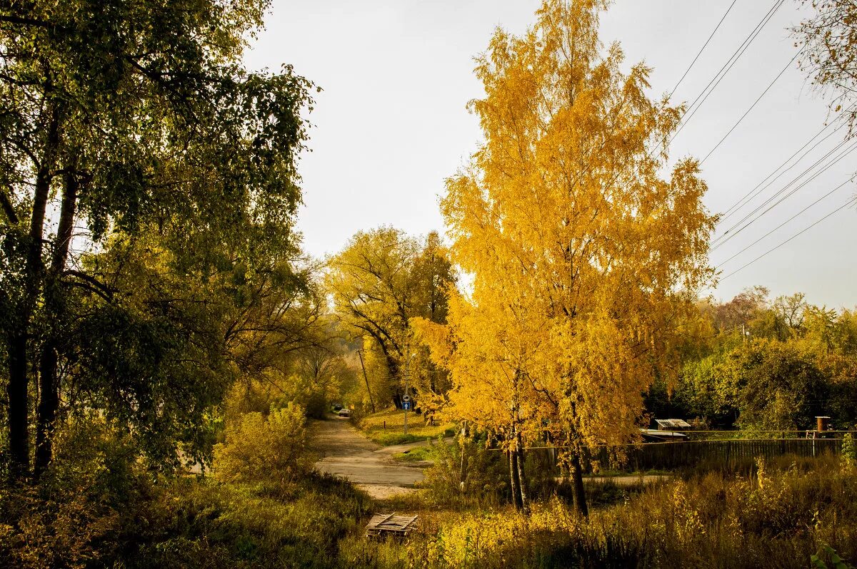 Осень 2013 год. Осень в Рославле. Рославль осенью. Инжавино осень. Золотая осень.