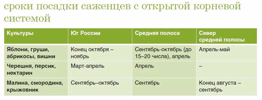 Сроки посадки в средней полосе россии