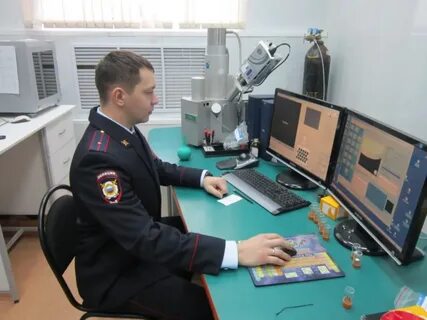 Экспертизы экц