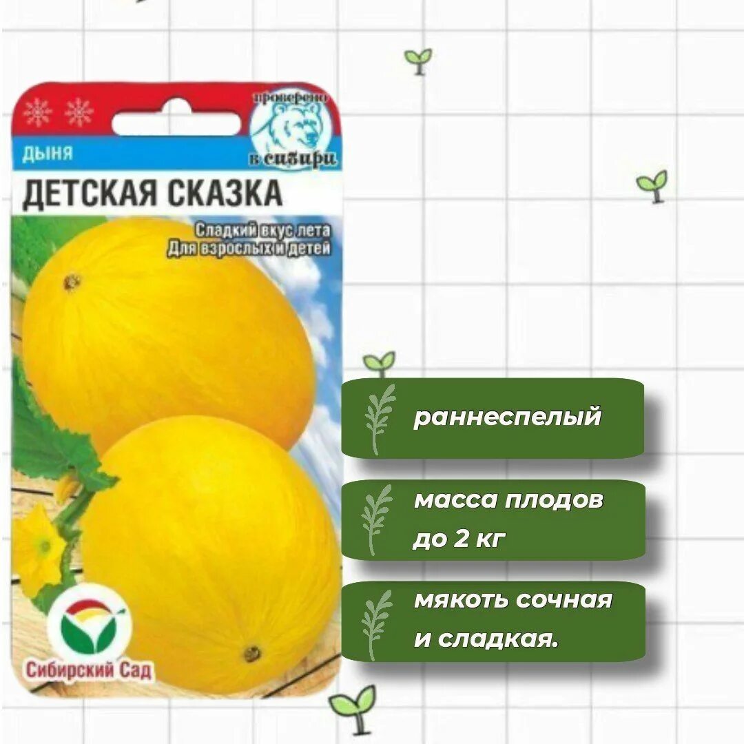 Дыня птичье молоко. Дыня птичье молоко