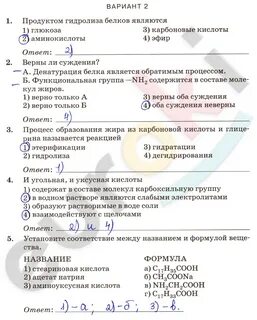 Азотсодержащие органические соединения 10 класс контрольная