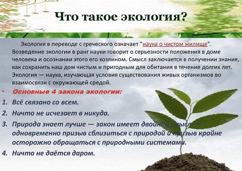 Окружающий мир кратко
