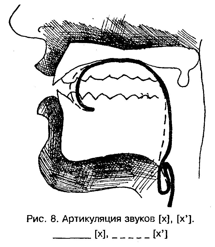 Артикуляция г. Артикуляционный профиль звуков при ринолалии. Артикуляция звука с. Артикуляция звука г. Артикуляционный профиль к г х.