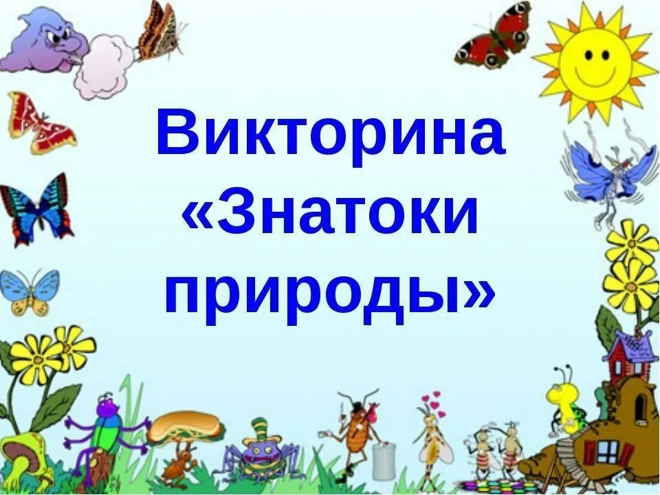 Конспект занятия знатоки. Презентация знатоки природы.