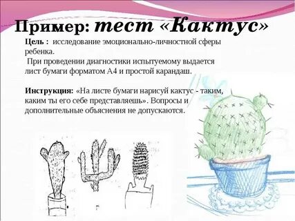 Кактус инструкция