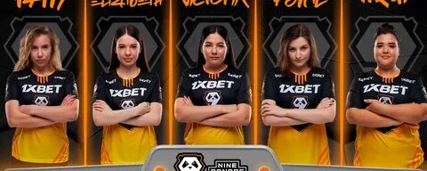 9 pandas forze