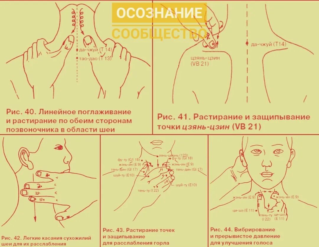 Болеть голова массаж шея. Массаж шеи схема. Шейный остеохондроз схема массажа. Правильный массаж шеи при остеохондрозе. Методика массажа шеи.