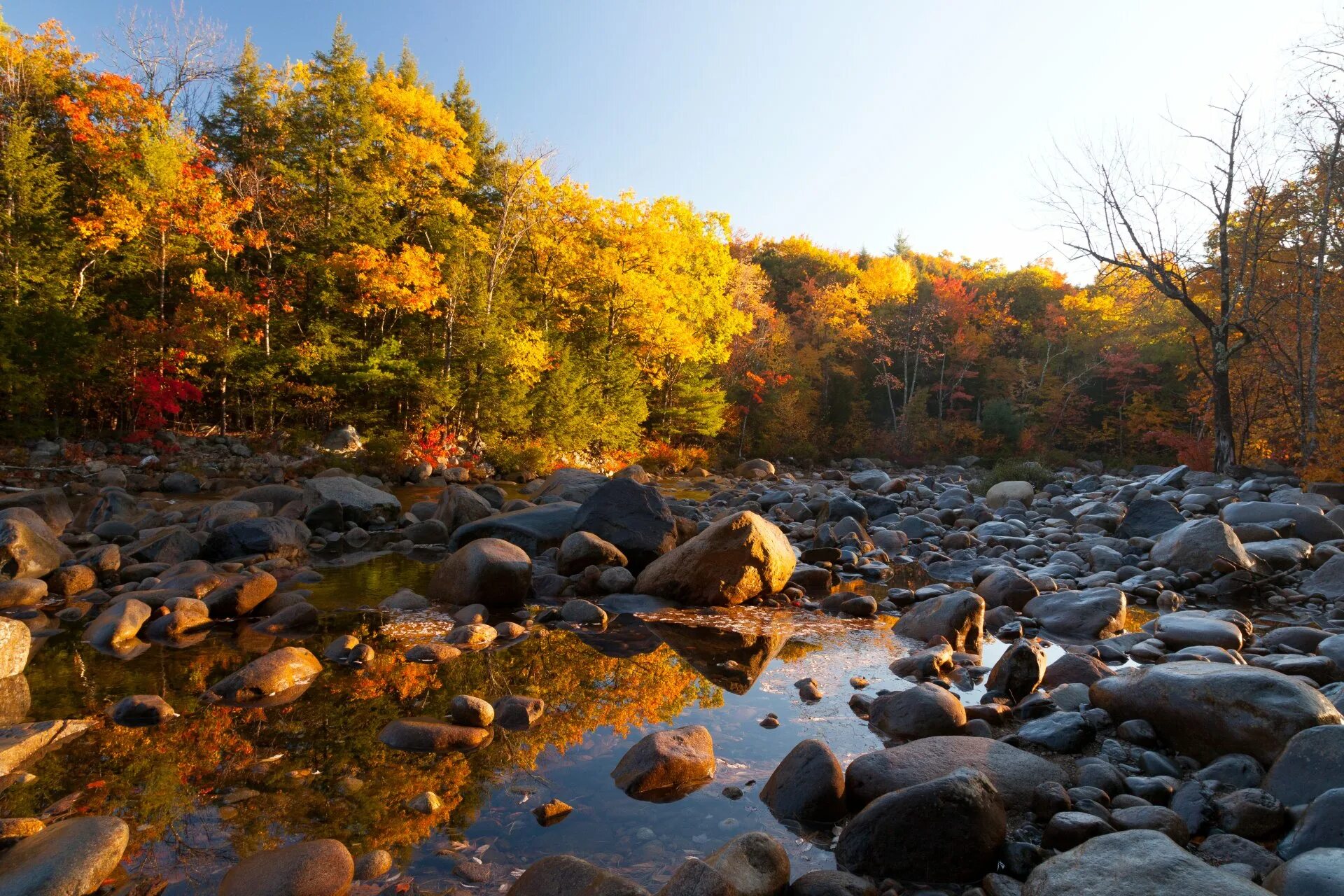 Natural fall. Осенний лес. Осень речка. Осень фото. Осенний ручей.