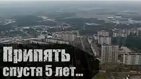 Спустя 5 лет после