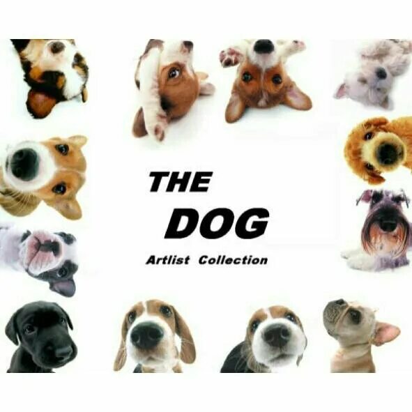 Artlist io. The dog artlist collection. the dog collection игрушки. журнал the dog collection. коллекция собак из журнала.