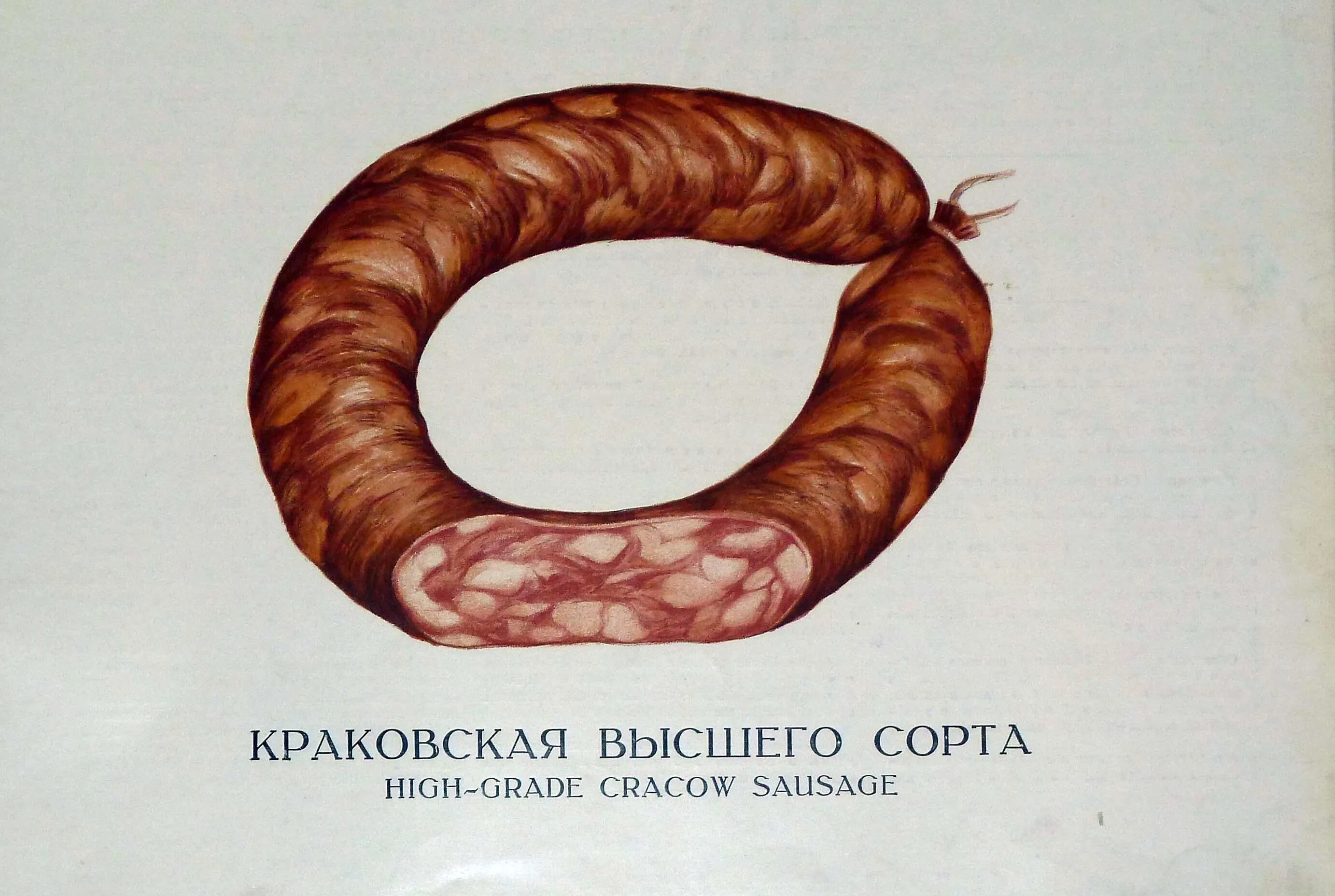 Рецепты 1938. Краковская колбаса ссср 1938 года. краковская колбаса ссср. колбаса краковская 1938 года технология. колбаса краковская гост ссср.