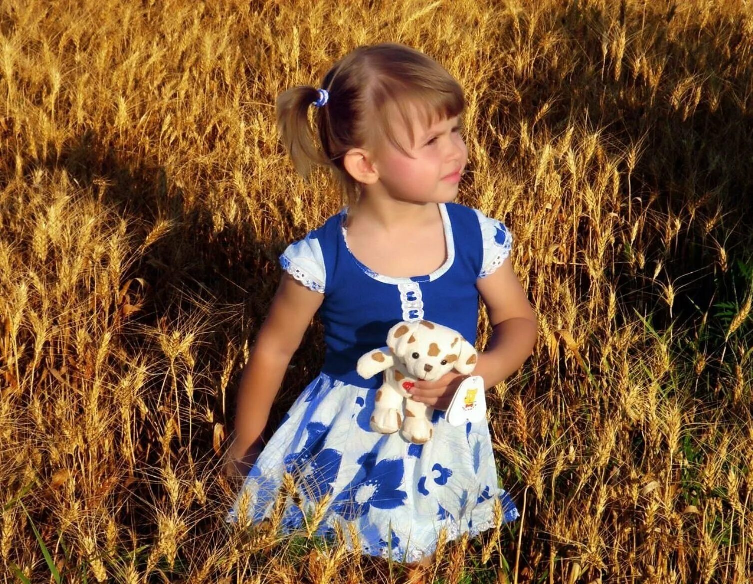 Видео где маленькие девочки. Девочка в поле. Девочка в платье в поле. Девушка в платье. Фотосессия детей 3 лет в поле.