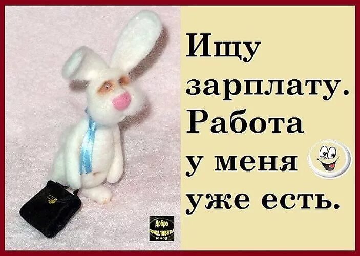 Ищу работу ищу зарплату. Ищу зарплату работа у меня уже есть. ищу зарплату работу не предлагать. ищу зарплату а на работу. ищу зарплату работа у меня уже есть картинки.