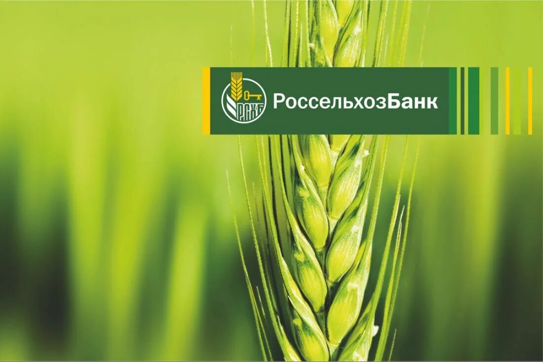 Рос сельхоз. Рос сельхоз