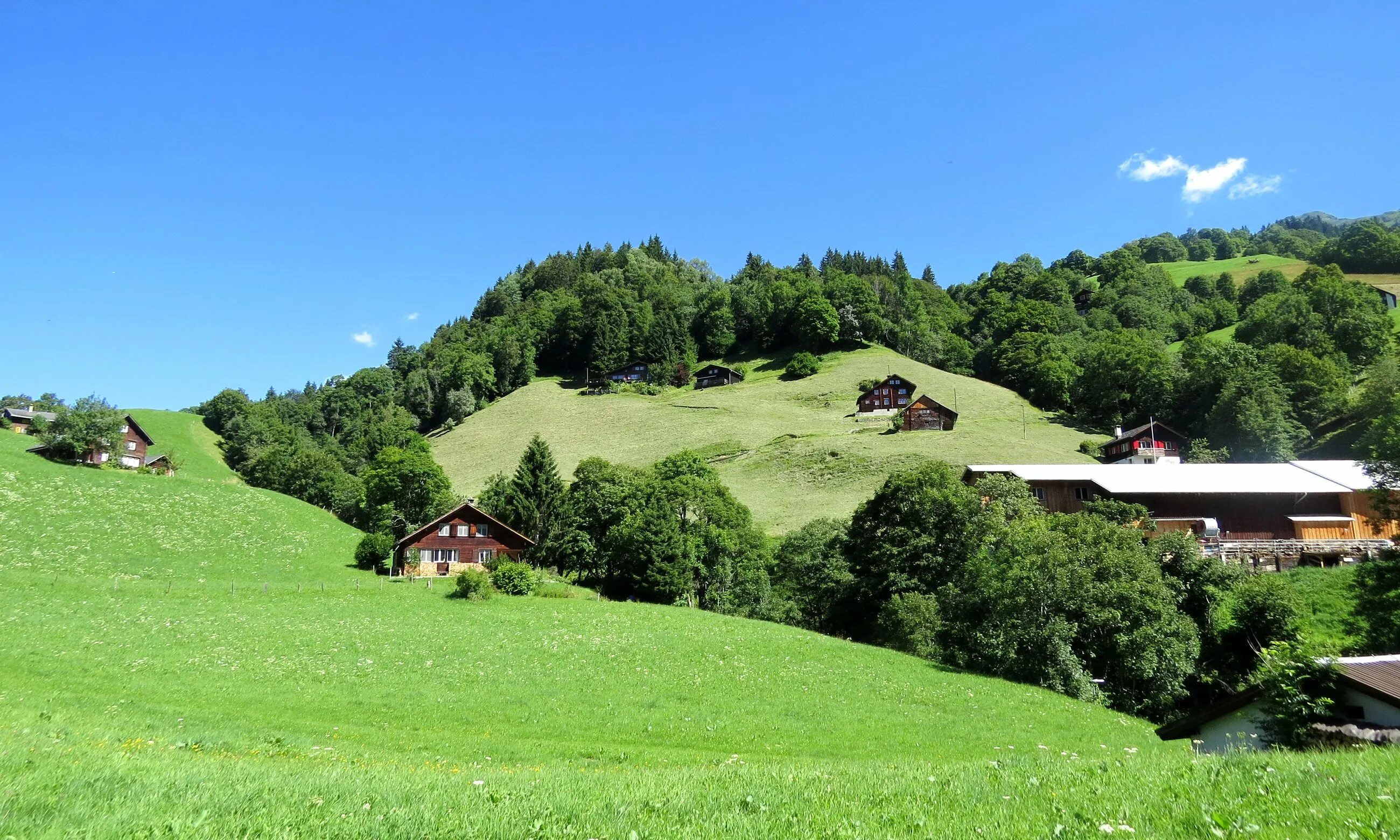 Снизов. Швейцария холм холм. Лесистые холмы Швейцария. Поселок хоббитов в Швейцарии. Село на Холме Швейцарии.