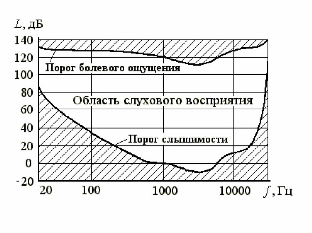 Система слухового восприятия. Порог слышимости человеческого уха. Интенсивность звука, порог слышимости, порог болевого ощущения.. Порог слышимости звуков человеком. Порог слышимости человеческого уха в ДБ.