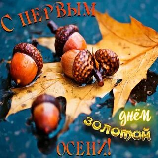С наступающим днем осени