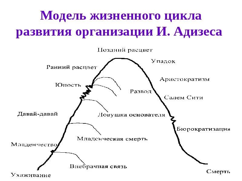 Ицхак адизес жизненный цикл организации. Ицхак адизес жизненный цикл организации