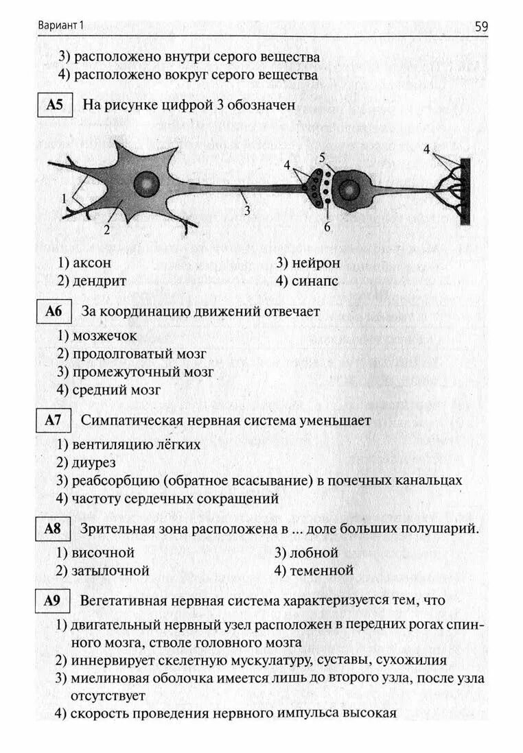 Контрольная по теме нервная система 9 класс. Контрольная по нервной системе 8 класс. проверочная работа по теме нервная система 8 класс биология. проверочная работа по биологии по теме нервная система 8 класс.