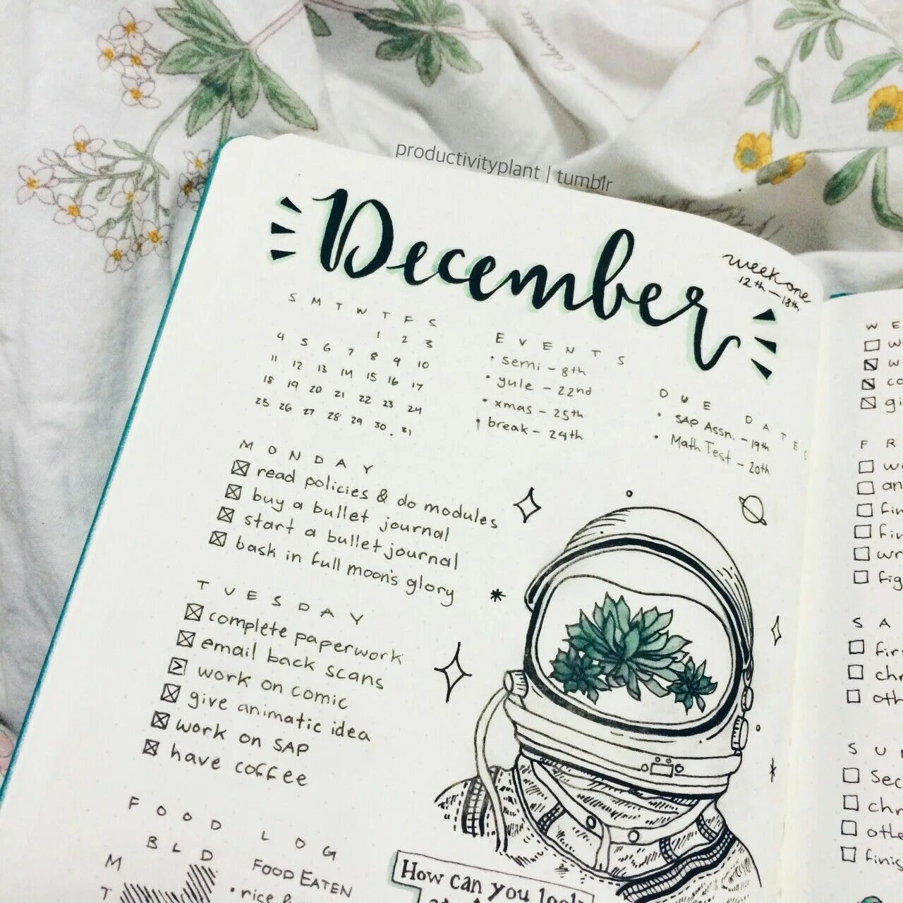 Bullet journal. Буллет джорнал. дневник bullet journal. ведение bullet journal. bullet journal идеи.
