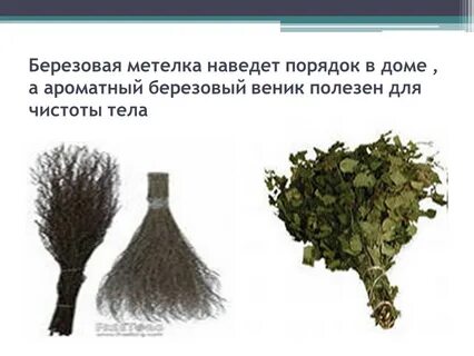 Батька наведет порядок