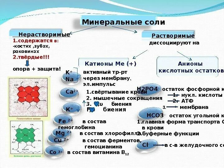 Фотографии ФУНКЦИИ ОРГАНИЧЕСКИХ ВЕЩЕСТВ И МИНЕРАЛЬНЫХ СОЛЕЙ