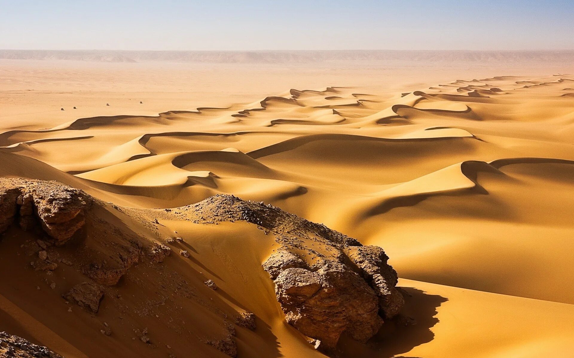 Самые большие 10 пустыни в мире. Пустыня Каракум Оазис. Песчаные Барханы Египта. Дюна пустыня. Край пустыни Каракум.