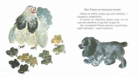 Рассказ е чарушина про томку