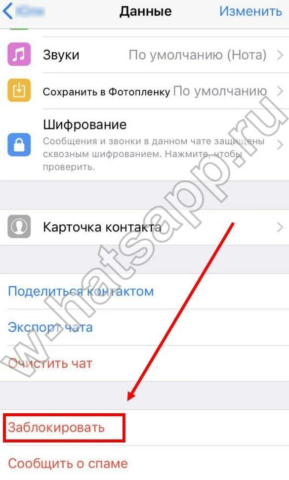 Как заблокировать ватсап на айфоне. Заблокированные в ватсапе на айфоне. как заблокировать контакт в ватсапе на айфоне. как заблокировать абонента в ватсапе на айфоне. заблокированные номера в ватсапе на айфоне.