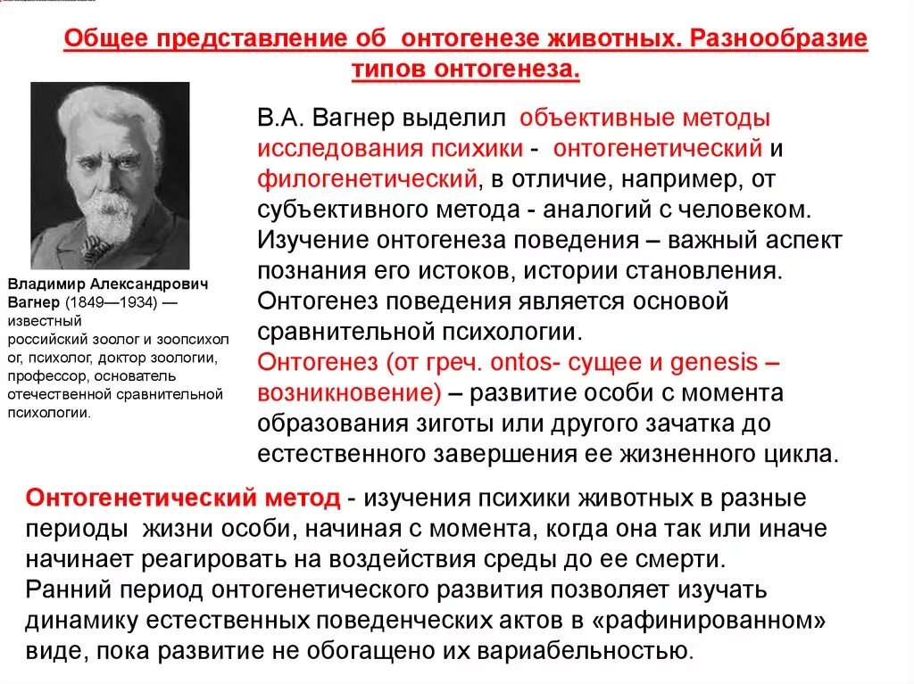 Онтогенез автор. Метод изучения онтогенеза. Онтогенез психики животных и человека. Онтогенетическое развитие.