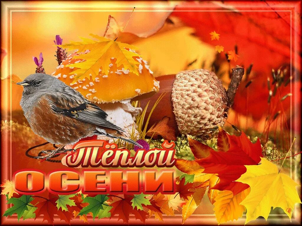 Доброй осени картинки красивые. Осенние пожелания. Тёплая осень. Теплой счастливой осени. Открытки с теплой осенью.