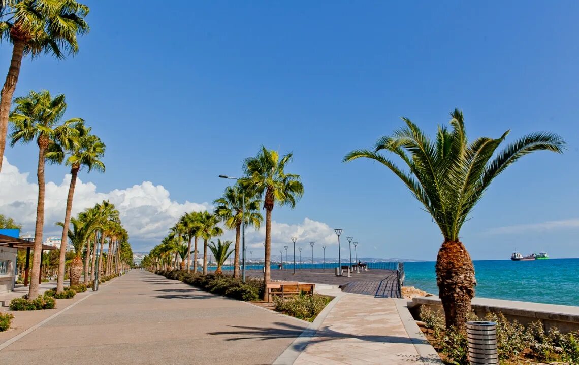Набор ""promenade /променад"". Променад сочи. Что обозначает слово. Английская набережная в ницце. Слово променад.