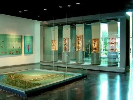 Museum anthropology